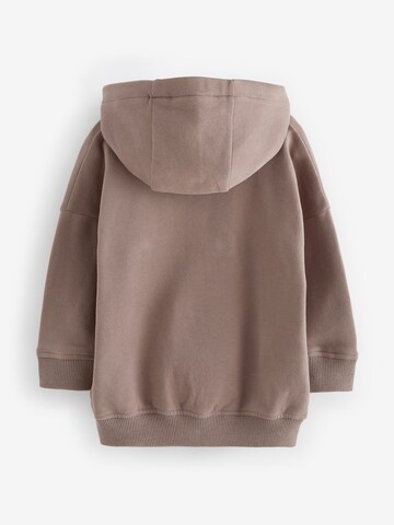 Next Sweatshirt in Brown