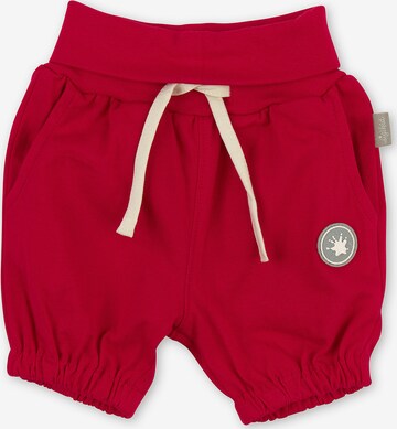 SIGIKID Pants in Red: front