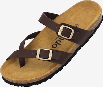 Palado Mules 'Cres ' in Brown: front