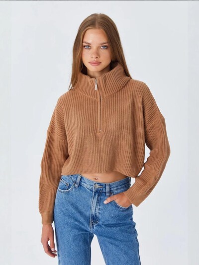 MixRay Pullover 'Pullover' em S-M em camelo, Vista do artigo