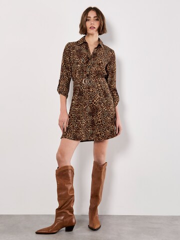 Robe ' ' Apricot en marron : devant