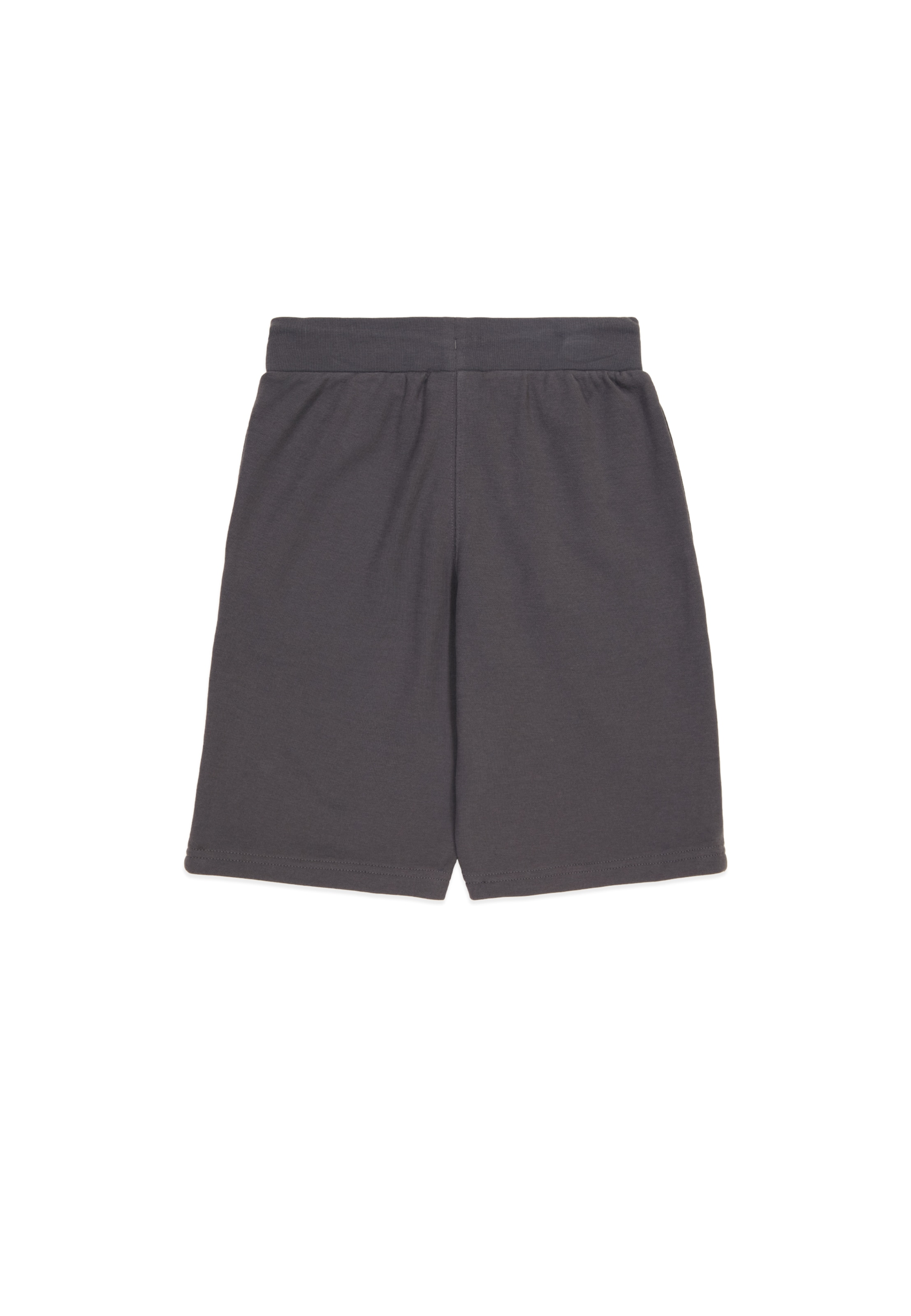 Champion Authentic Athletic Apparel Regular Pants in Grey