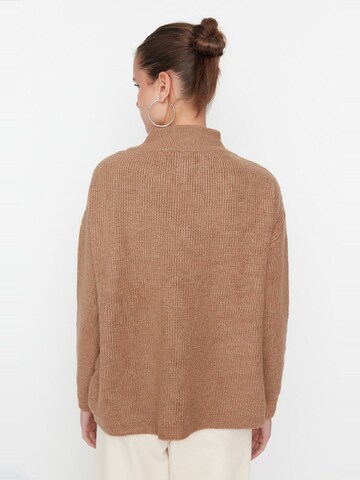 Trendyol Pullover in Braun