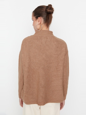 Trendyol Pullover in Braun