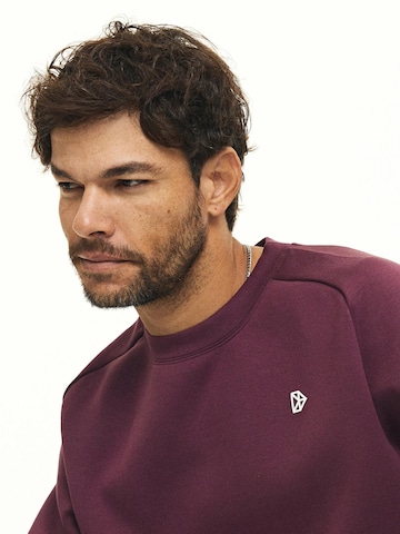 DRILLS Apparel Sweatshirt 'RECREATION Scuba' in Red
