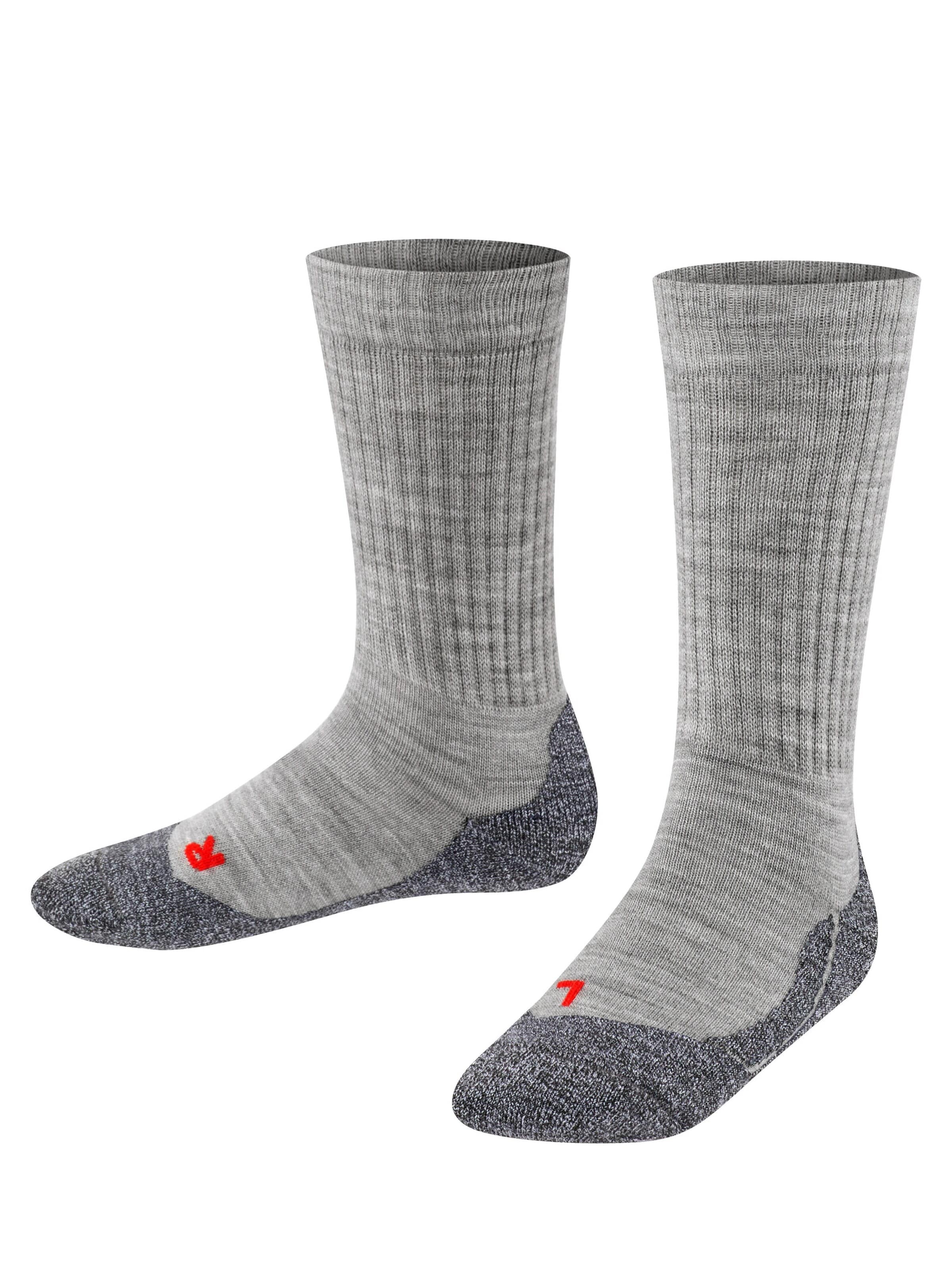 FALKE Socks 'Active Warm' in Grey: front