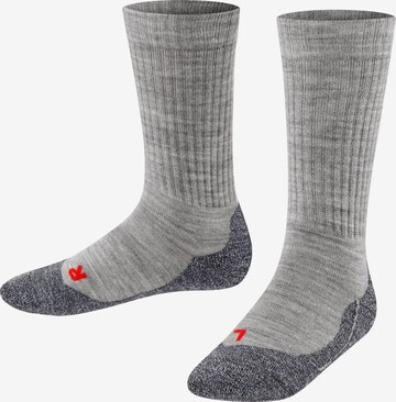 FALKE Socks 'Active Warm' in Grey: front