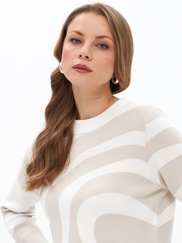 Passioni Sweater in Grey