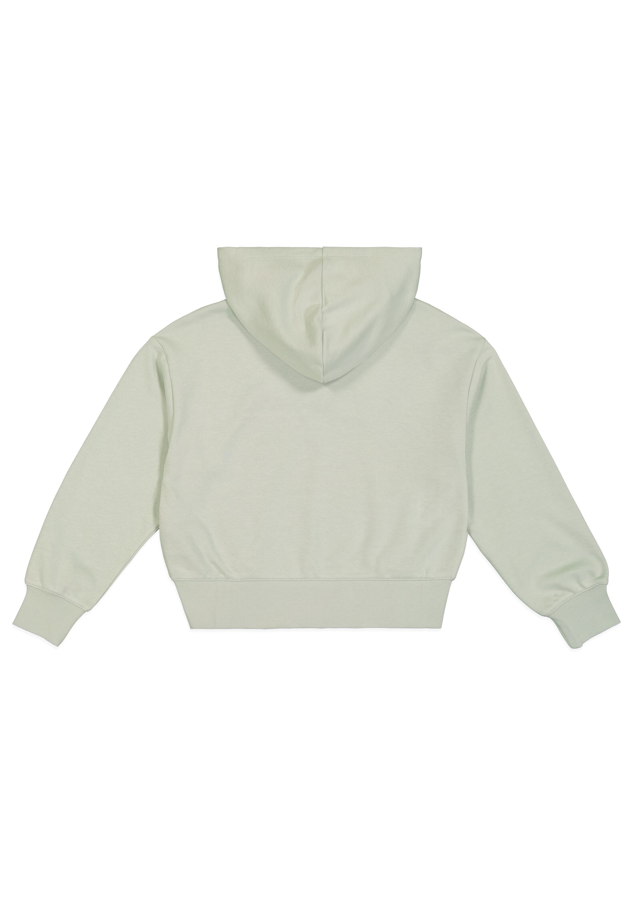 Champion Authentic Athletic Apparel Sweatshirt in Grey
