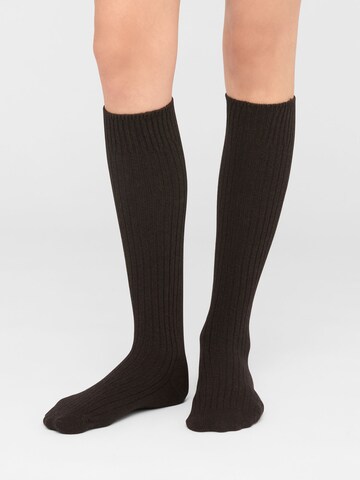 CALZEDONIA Socks in Brown: front