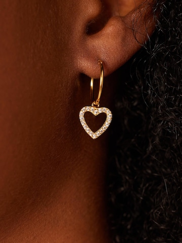 Lucardi Earrings in Gold: front