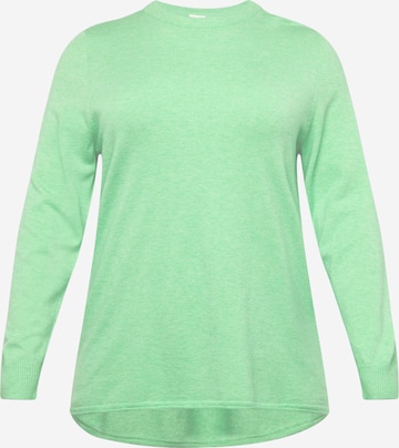 Pullover 'IBI' di ONLY Carmakoma in verde: frontale