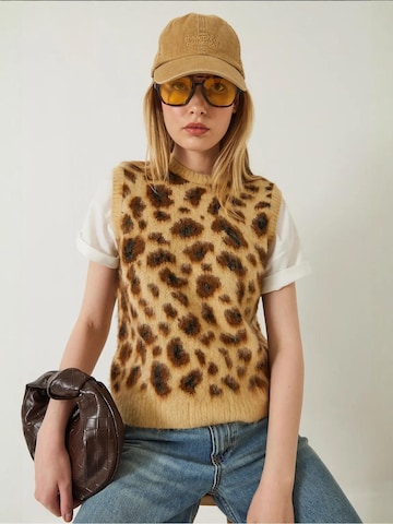 Pull-over Bianco Lucci en marron