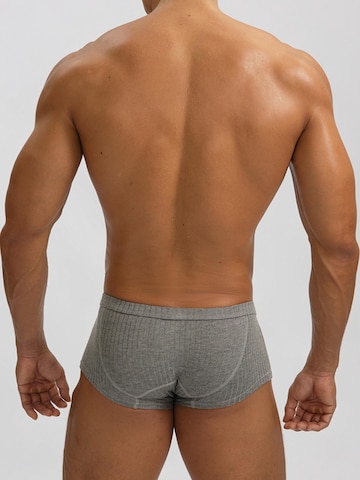 BIMONI Boxer shorts in Grey