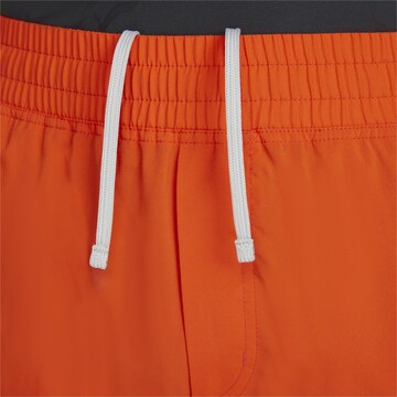 PUMA Regular Workout Pants in Orange