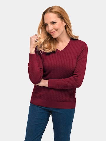 Goldner Sweater in Red: front