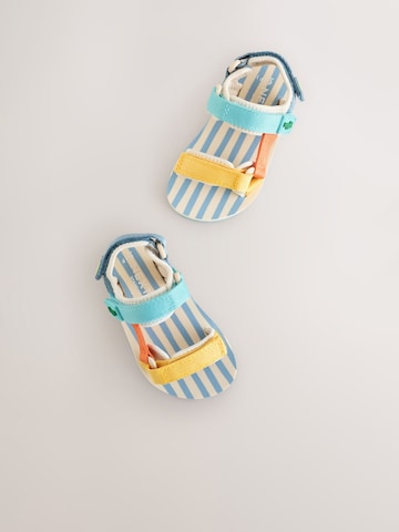 Next Sandale in Mischfarben