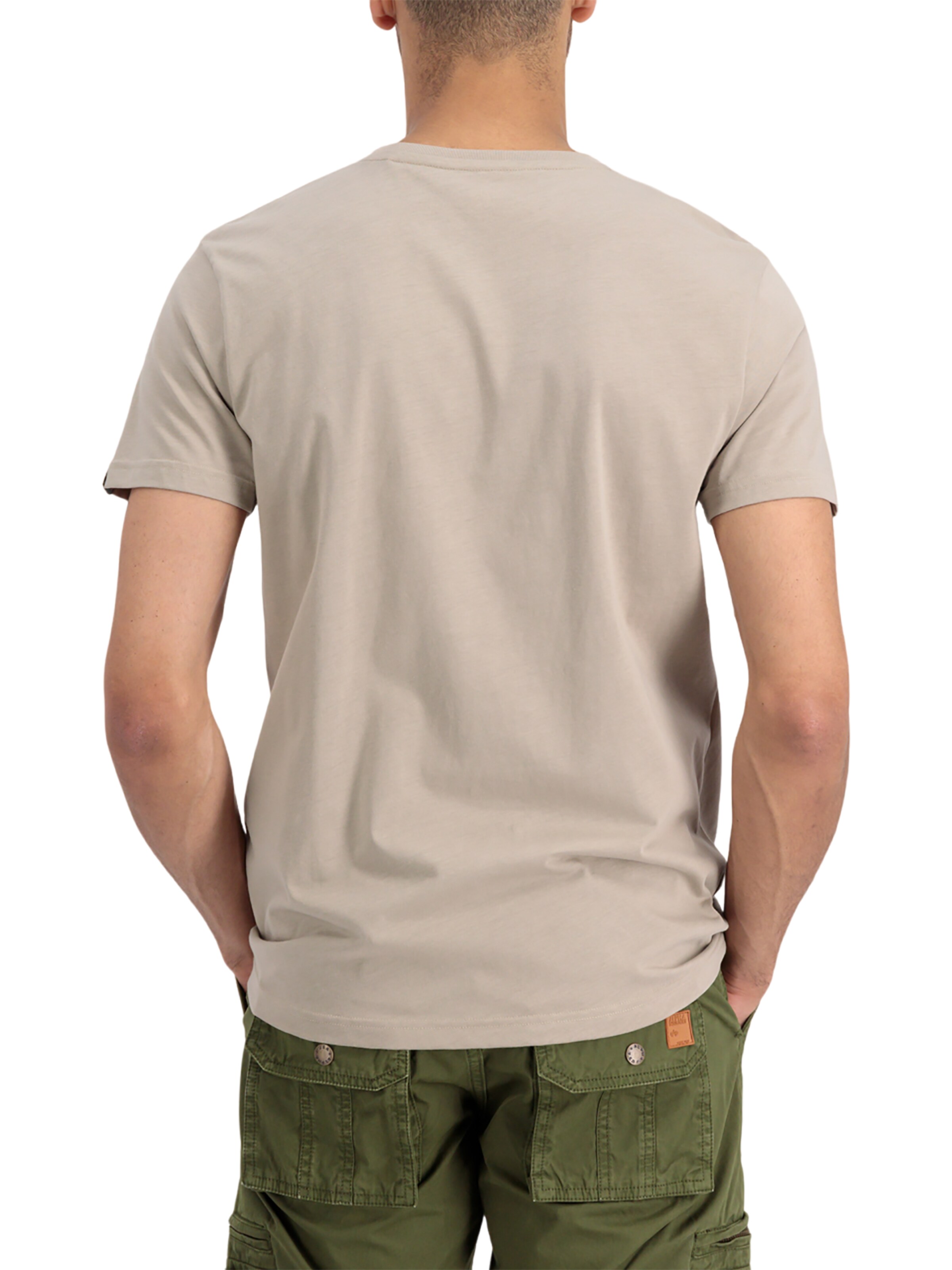 T-Shirt 'Rainbow' ALPHA INDUSTRIES en beige
