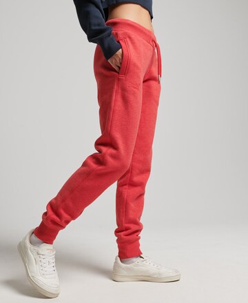 Superdry Tapered Pants in Red