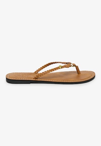Superdry & Co T-bar sandals in Brown