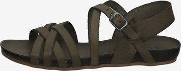 COSMOS COMFORT Sandale in Grün
