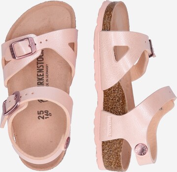 BIRKENSTOCK Sandale 'Rio' in Pink