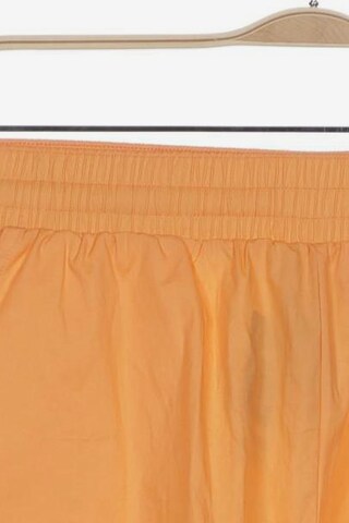 Champion Shorts 34 in Orange