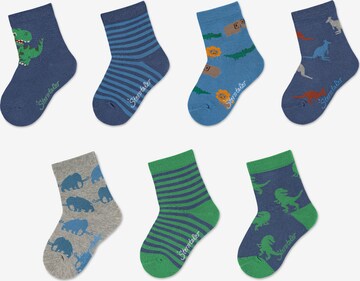 STERNTALER Socken 'Wildnis' in Blau: predná strana