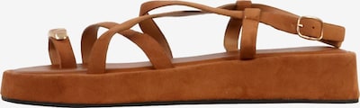 Super Mode Sandale 'Joalice Riemchensandalen' in 36 in dunkelbraun, Produktansicht