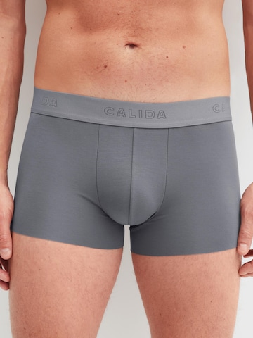 CALIDA Boxershorts 'Clean Line' in Grijs