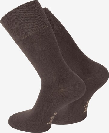 Chaussettes normani en marron