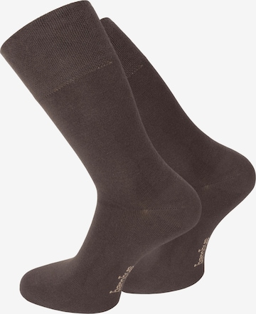 normani Socken in Braun