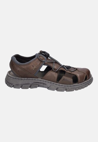 JOSEF SEIBEL Sandale 'Brendan 05' in Braun