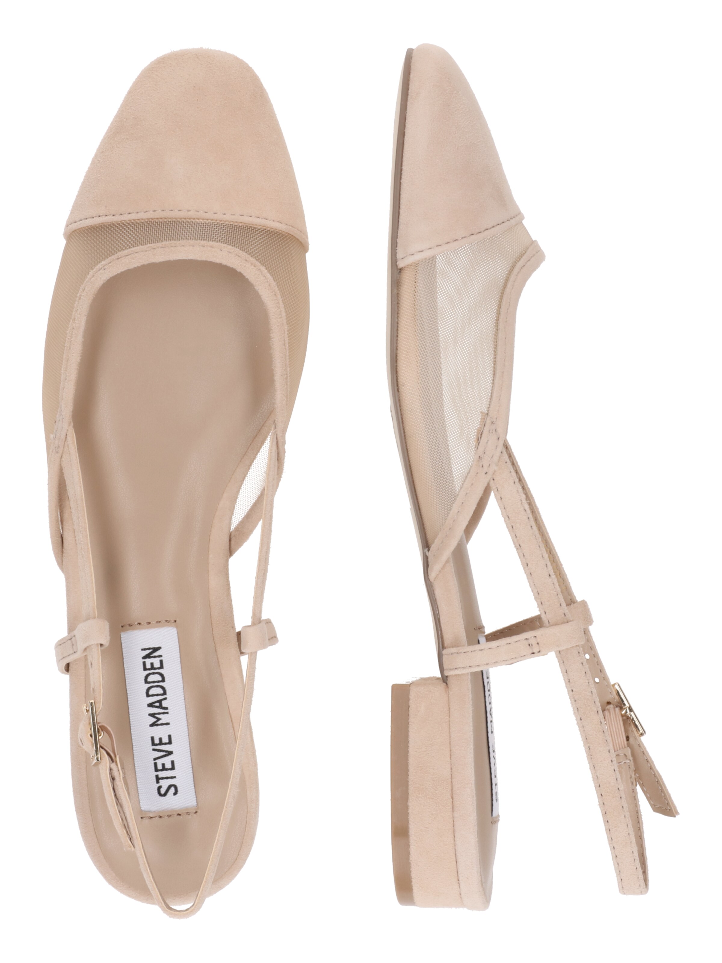 Ballerines à lanières 'Belinda-M' STEVE MADDEN en beige