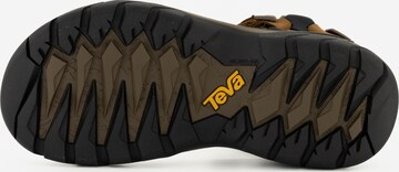 TEVA Hiking Sandals 'Terra' in Brown
