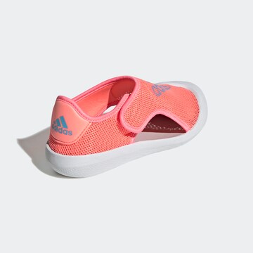 ADIDAS SPORTSWEAR Beach & Pool Shoes 'Altaventure' in Red