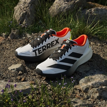 ADIDAS TERREX - Sapatilha de corrida 'Agravic 4' em branco