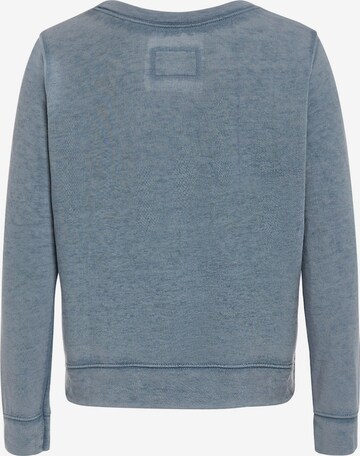 Daily’s Sweatshirt in Blauw
