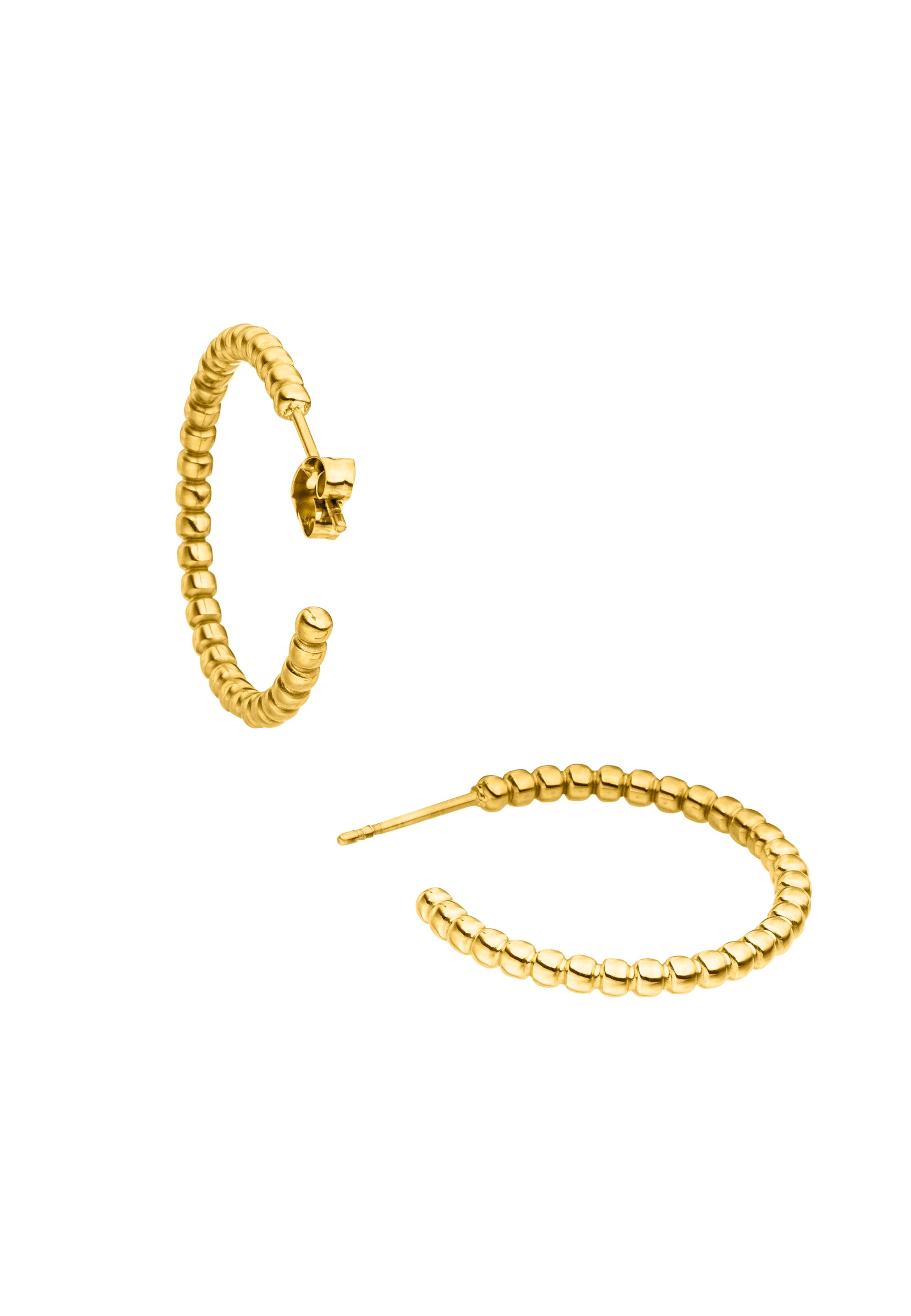 Steelwear Earrings in Gold