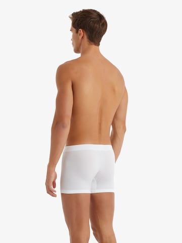 Blackspade Boxershorts in Wit