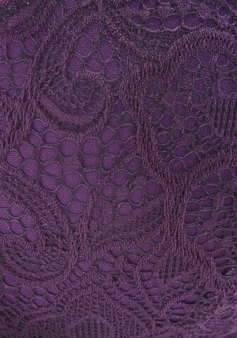 LASCANA Push-up Bra in Purple