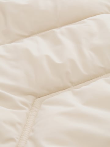 TOM TAILOR Winter Jacket in Beige