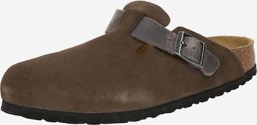 BIRKENSTOCK Pistokkaat 'Boston' värissä harmaa: etupuoli