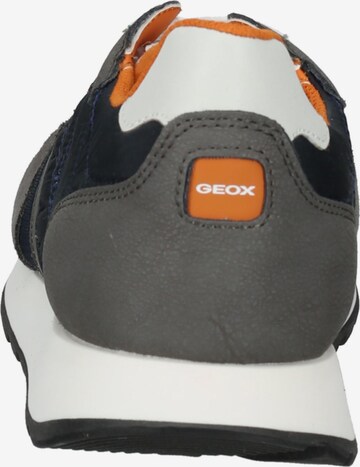 GEOX Sneakers in Blue