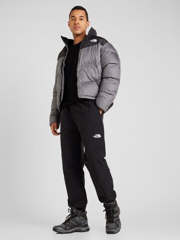 THE NORTH FACE Конический (Tapered) Функциональные штаны в Черный