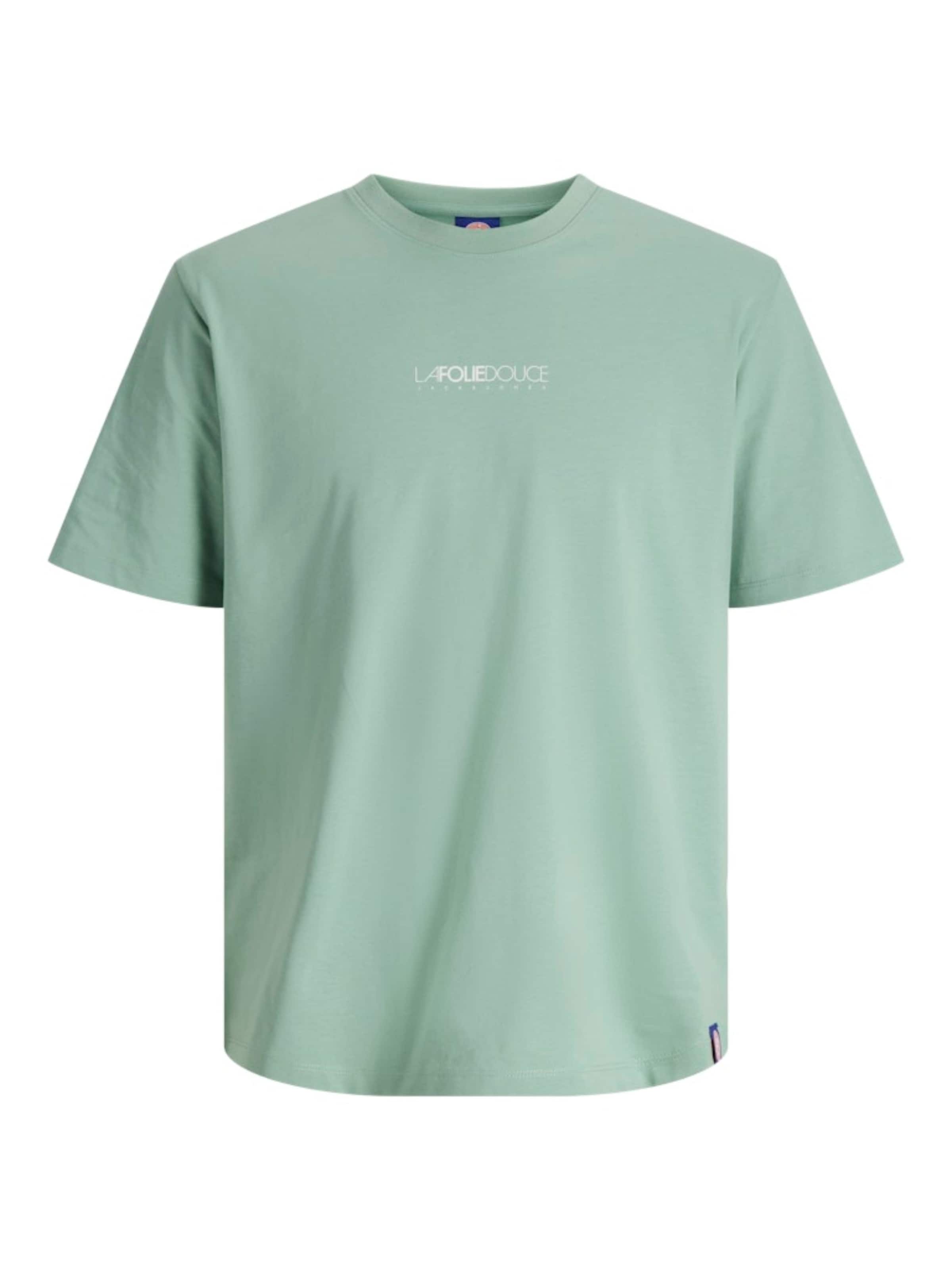 JACK & JONES Shirt 'JORFOLIE HAZE TEE SS CREW NECK' in Green: front