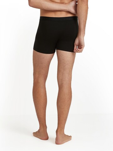 FALKE Boxer shorts in Black