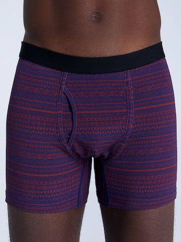 Albero Natur Boxershorts in Lila: Vorderseite
