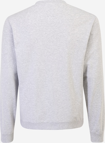 LACOSTE Sweatshirt in Grau