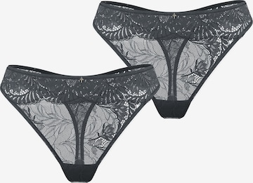 String 'Beautiful' JOOP! en gris : devant